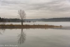 R81_0172-Deam Lake IN.jpg