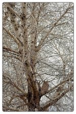 01-16-23_D503186-144007-NIKON D500_CR_ -ON1.jpg