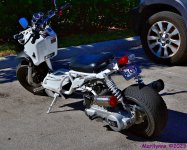 DSC_9897_001.JPG