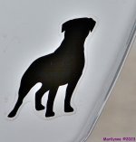 DSC_9902_001.JPG