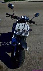 DSC_9904_001.JPG