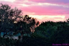DSC_0128_001.JPG