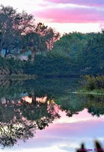 DSC_0128_stitch4_001.JPG