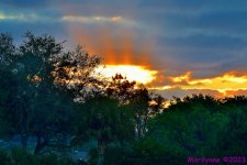 DSC_0150_001.JPG