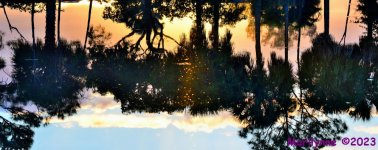 DSC_0157_stitch4_001.JPG