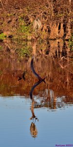 DSC_0220_stitch5_001.JPG