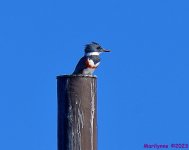 DSC_0261_001.JPG