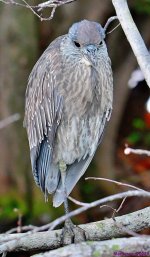 DSC_0324_001.JPG