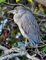 DSC_0364_001.JPG