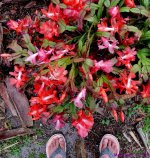 DSCN2716_001.JPG
