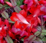 DSCN2717_001.JPG