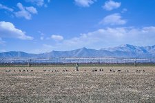 01-31-23_D503195-111747-NIKON D500_CR_ -ON1.jpg