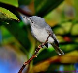 DSC_0520_001.JPG