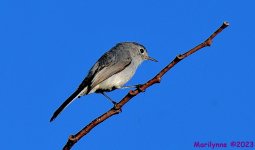 DSC_0526_001.JPG