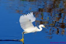 DSC_0551_001.JPG