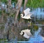 DSC_0555_001.JPG