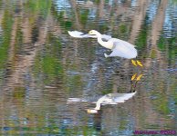 DSC_0556_001.JPG