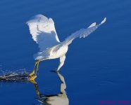 DSC_0560_001.JPG