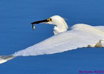 DSC_0578_001.JPG