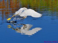 DSC_0583_001.JPG