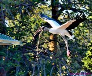 DSC_0607_001.JPG