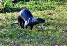 DSC_0670_001.JPG