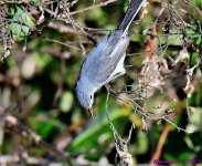 DSC_0751_001.JPG