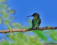 DSC_0760_001.JPG