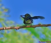 DSC_0763_001.JPG