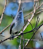 DSC_0771_001.JPG