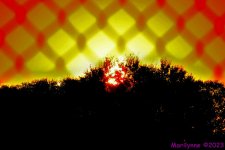 DSC_0864_001.JPG