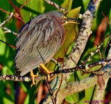 DSC_0886_001.JPG