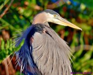 DSC_0892_001.JPG