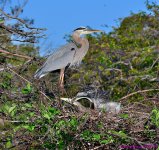 DSC_1141_001.JPG