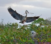 DSC_1267_001.JPG