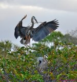 DSC_1268_001.JPG