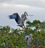 DSC_1269_001.JPG