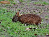 DSC_1272_001.JPG