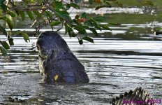 DSC_1285_stitch4_001.JPG