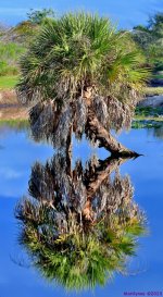 DSC_1339_stitch8_001.JPG