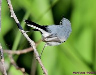 DSC_1316_001.JPG