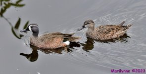 DSC_1387_001.JPG