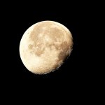 DSC_1394_001.JPG