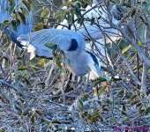 DSC_1436_001.JPG