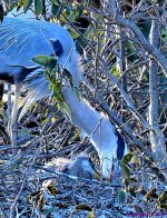 DSC_1442_001.JPG