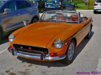 DSC_9940_001.JPG