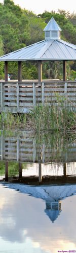 DSC_1498_stitch5_001_01.JPG