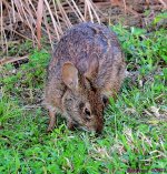 DSC_1574_001.JPG