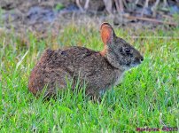 DSC_1577_001.JPG
