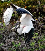 DSC_1681_001.JPG